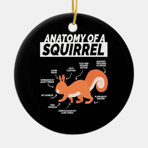 Anatomy Of A Squirrel Ceramic Ornament