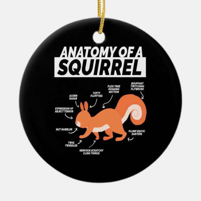 Anatomy Of A Squirrel Ceramic Ornament (Front)