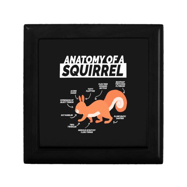 Anatomy Of A Squirrel Gift Box (Front)