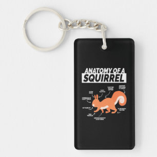 Anatomy Of A Squirrel Keychain