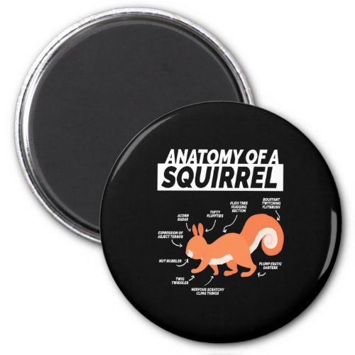 Anatomy Of A Squirrel Magnet