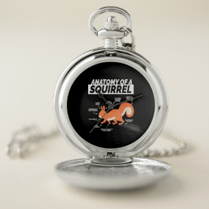 Anatomy Of A Squirrel Pocket Watch