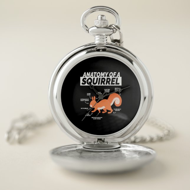 Anatomy Of A Squirrel Pocket Watch (Inside)