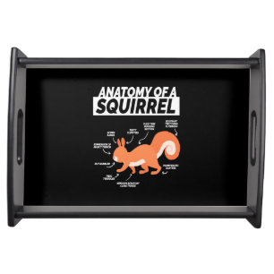 Anatomy Of A Squirrel Serving Tray