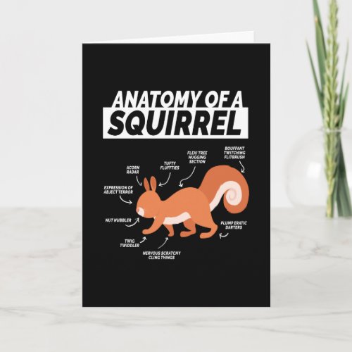 Anatomy Of A Squirrel Squirrel Rodent Card