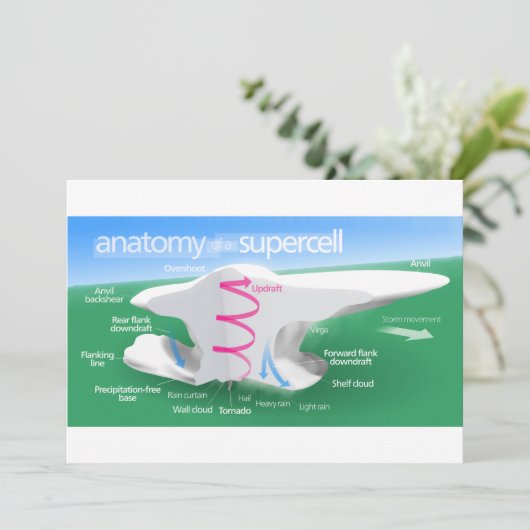 Anatomy of a Supercell Storm Diagram (Standing Front)