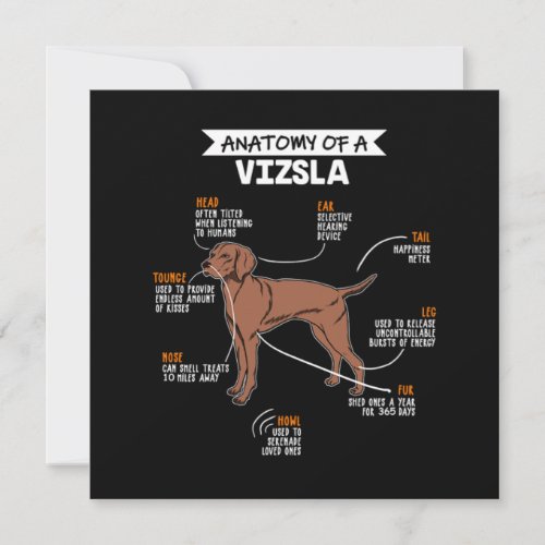 Anatomy Of A Vizsla Dog Invitation