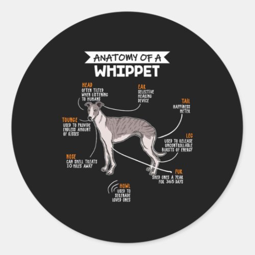 Anatomy Of A Whippet Dog Classic Round Sticker
