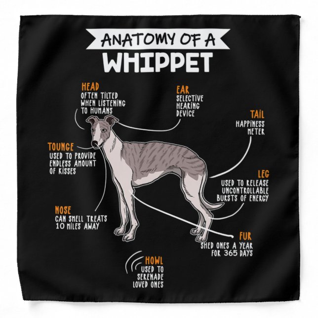anatomy of a whippet dog funny dog lover gift bandana (Front)