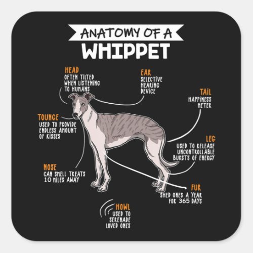 anatomy of a whippet dog funny dog lover gift square sticker