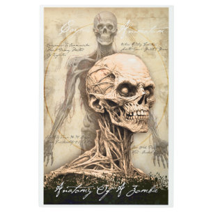 Anatomy Of A Zombie Metal Print