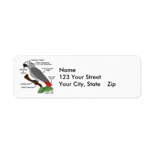 Anatomy of an African Grey Parrot Label