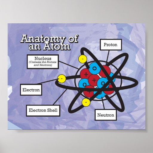 Anatomy of an Atom Poster | Zazzle