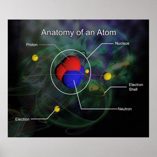 Anatomy of An Atom *UPDATED* Poster | Zazzle.com