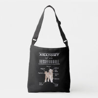 Anatomy of An Aussiedoodle
