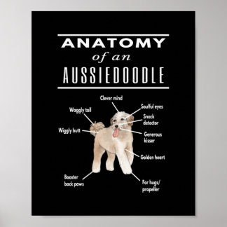 Anatomy of An Aussiedoodle Dog Poster