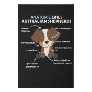 Anatomy Of An Australian Shepherd Sweet Dogs Faux Canvas Print