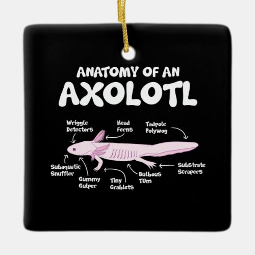 anatomy of an axolotl  axolotls biology science ceramic ornament