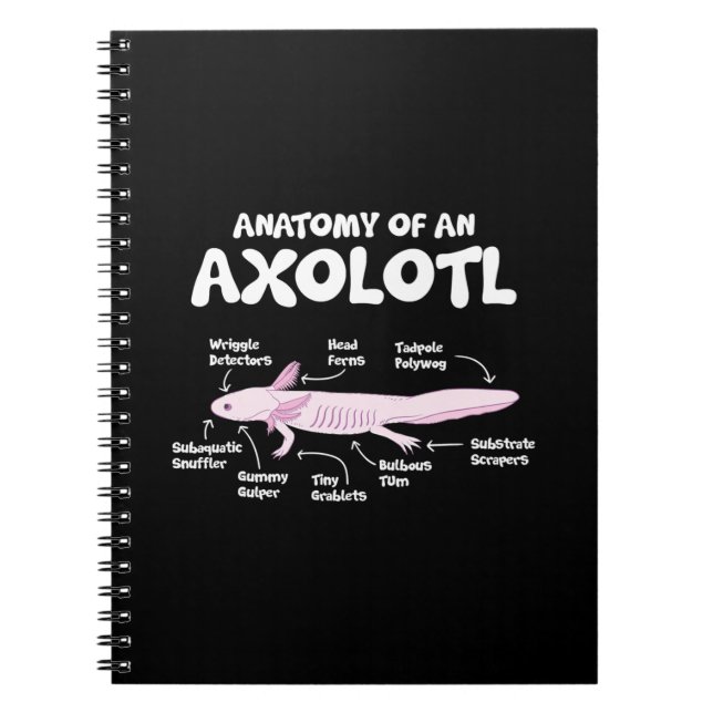 anatomy of an axolotl  axolotls biology science notebook (Front)