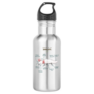 Anatomy of an Axolotl  Stainless Steel Water Bottle