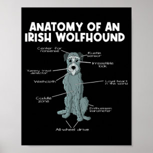 Anatomy Of An Irish Wolfhound Poster