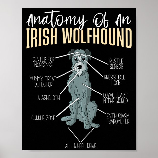 Anatomy Of An Irish Wolfhound  Poster (Front)