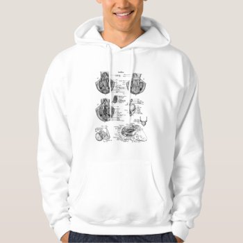 Anatomy Of An Oct8pus - Customized Hoodie by Mikeybillz at Zazzle