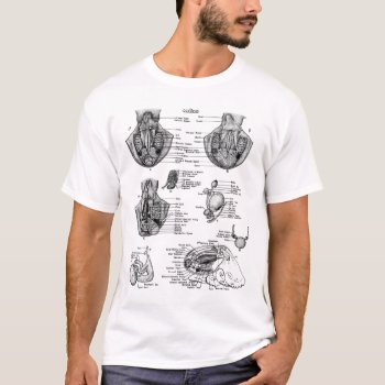 Anatomy Of An Oct8pus T-shirt by Mikeybillz at Zazzle