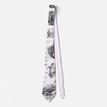 Anatomy Of An Octopus Tie by Mikeybillz at Zazzle
