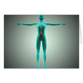 Anatomy Of Female Body With Arteries And Veins (Front Horizontal)