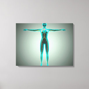 Anatomy Of Female Body With Arteries And Veins Canvas Print