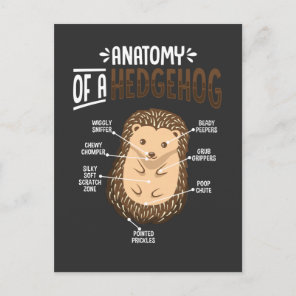 Anatomy Of Hedgehog Lover Cute Forest Animal Postcard