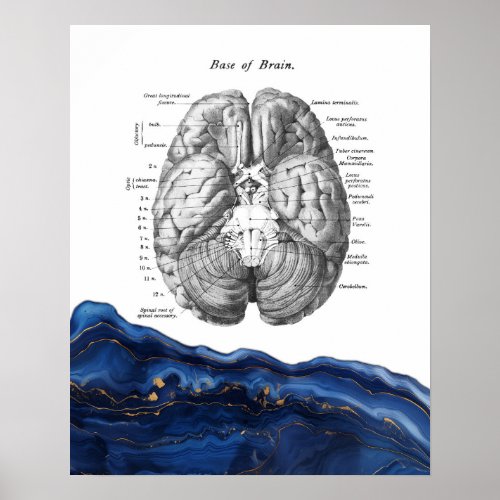 Anatomy of Human Brain Abstract Marble Poster