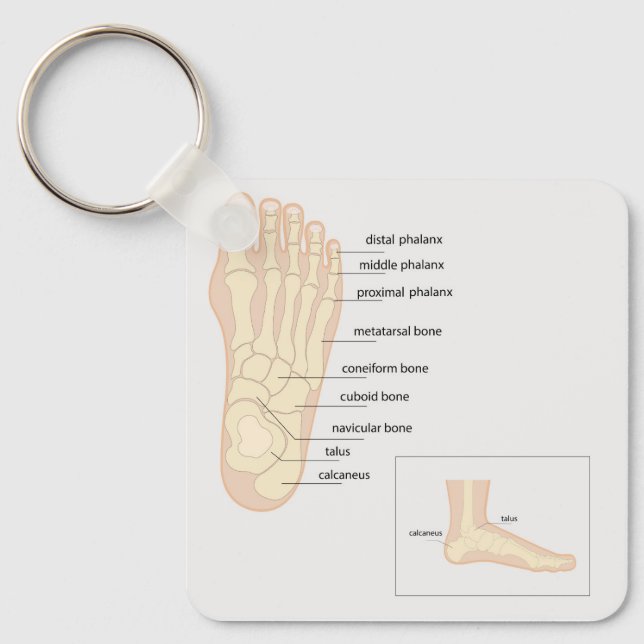 Anatomy of human foot  keychain (Front)