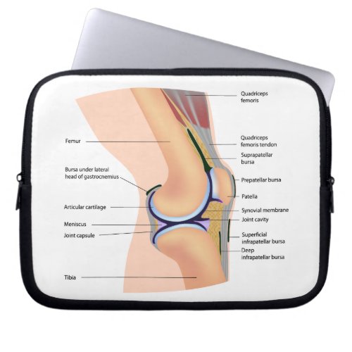Anatomy of human knee joint Electronics Bag