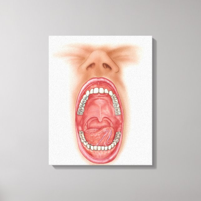 Anatomy Of Human Mouth Cavity Canvas Print (Front)