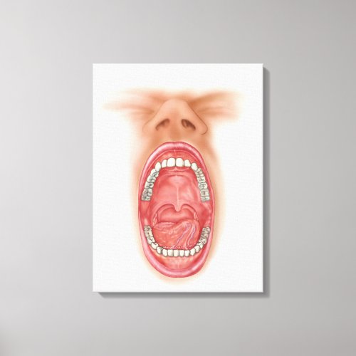 Anatomy Of Human Mouth Cavity Canvas Print