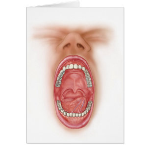 Anatomy Of Human Mouth Cavity Cards