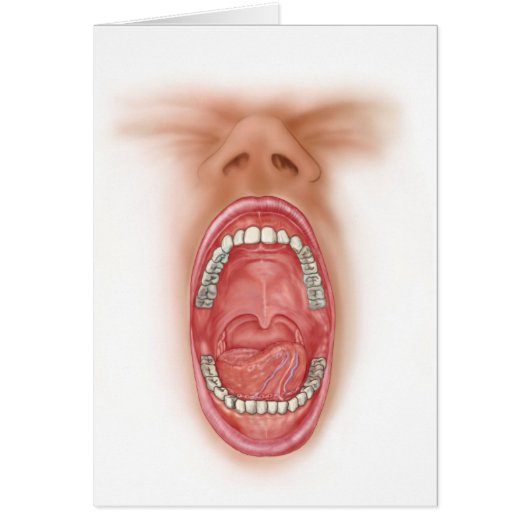 Anatomy Of Human Mouth Cavity Cards (Front)