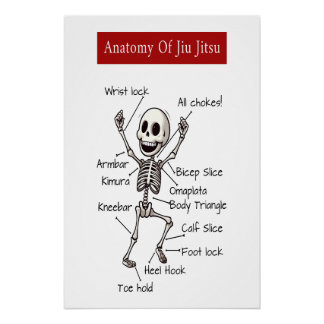Anatomy Of Jiu Jitsu BJJ Skeleton Submissions Gym Poster