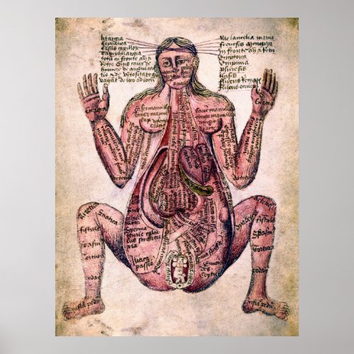 ANATOMY of PREGNANT WOMAN c 14 century Poster