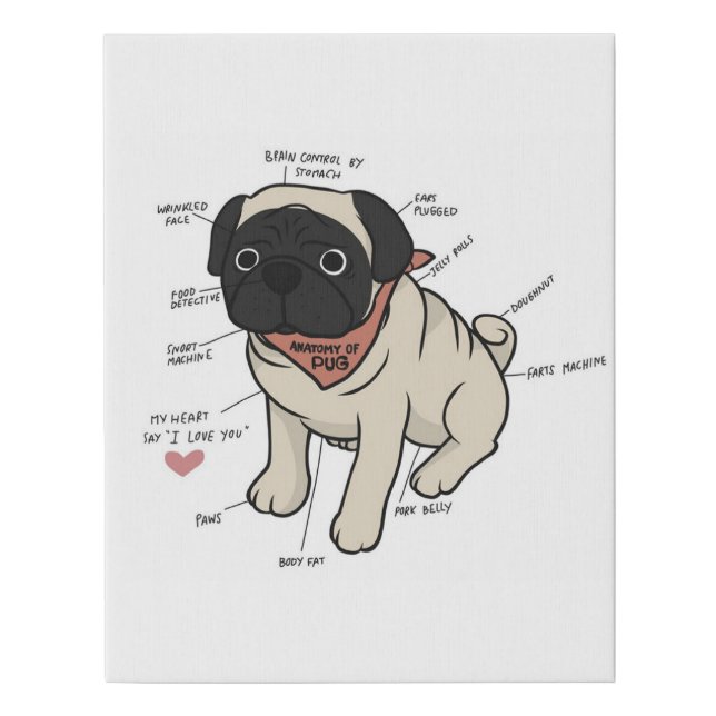 Anatomy Of Pug Dog Chart Faux Canvas Print (Front)