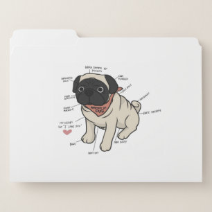 Anatomy Of Pug Dog Chart File Folder