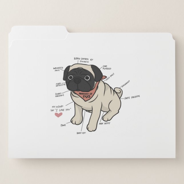 Anatomy Of Pug Dog Chart File Folder (Front Left)