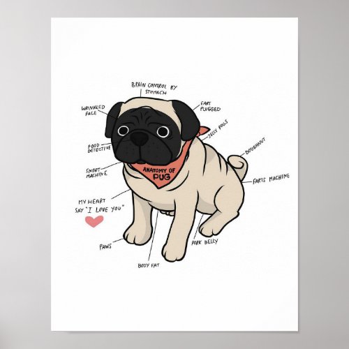 Anatomy of pug dog chart  Funny Pug Lover