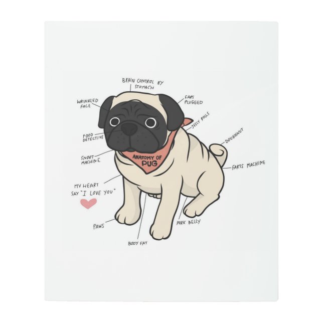 Anatomy Of Pug Dog Chart Metal Print (Front)