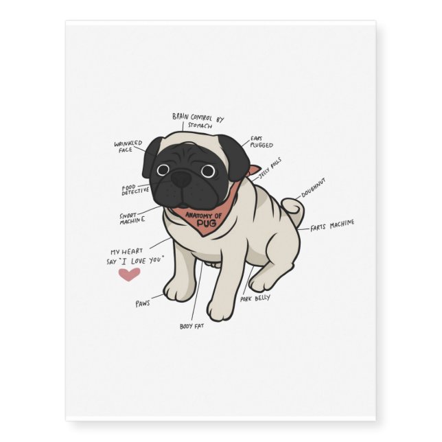 Anatomy Of Pug Dog Chart Temporary Tattoos (Front)