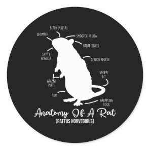 Anatomy Of Rat For Any Rat And Pet Rat Owners Classic Round Sticker