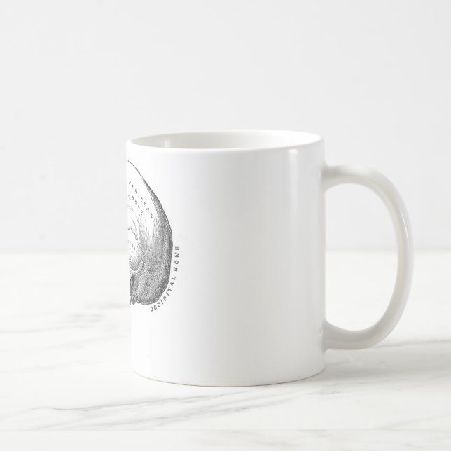 Anatomy of Skull Coffee Mug (Right)