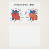 Anatomy of the heart (Front & Back)